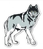 Realistic Wolf-MM